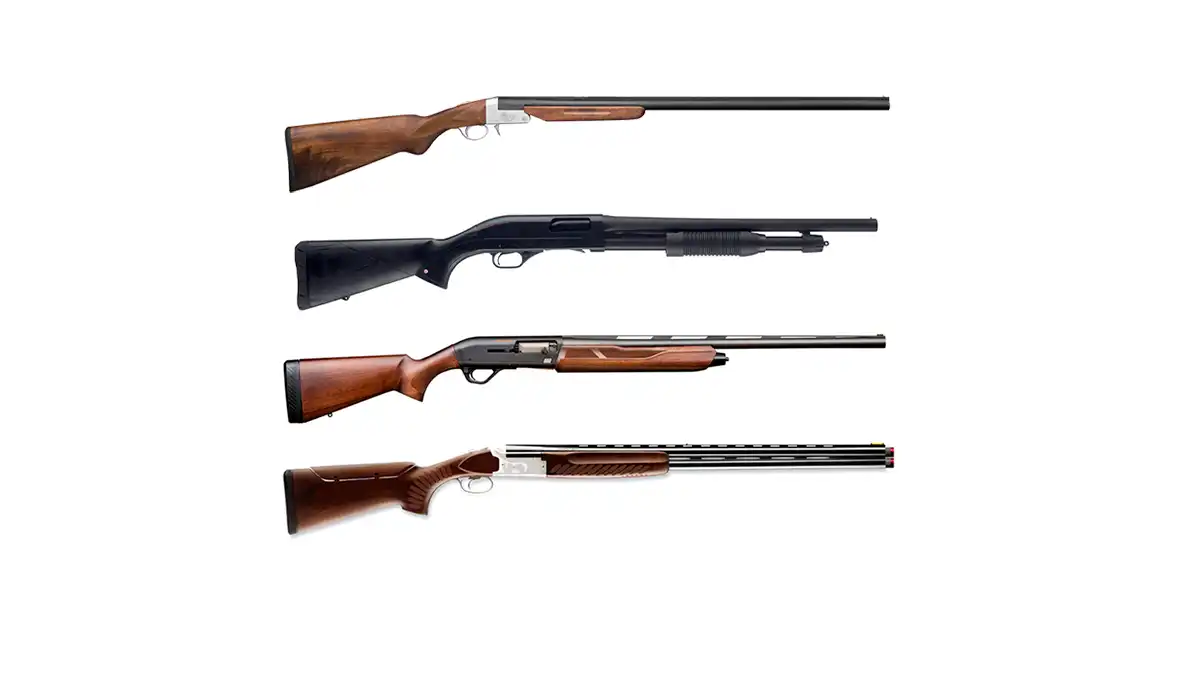 Permiso de Armas: Tipos de Escopetas y Clasificación 2025