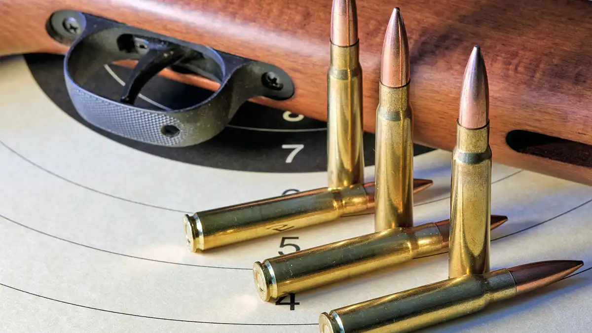 Permiso de Armas: Tipos de Rifles y Características - Guía 2025