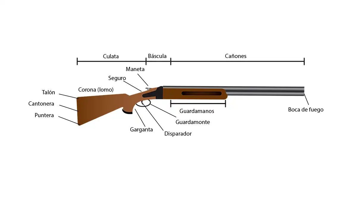 Permiso de Armas: Partes de una Escopeta - Guía Detallada 2025