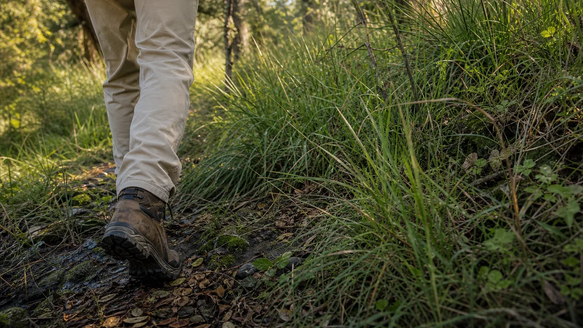 Botas de caza avanzando junto a pastos altos y matorral donde pueden vivir garrapatas