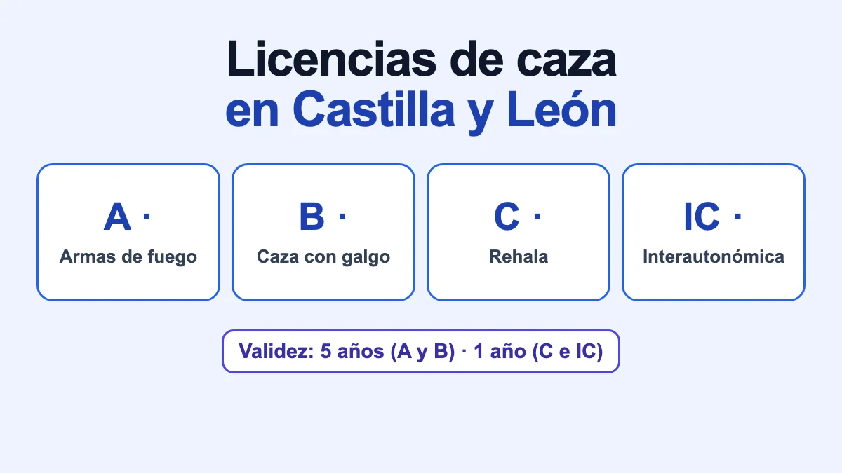 Tipos de licencia de caza en Castilla y León: A, armas de fuego; B, caza con galgo; C, rehala; IC, interautonómica. A y B valen 5 años; C e IC, 1 año