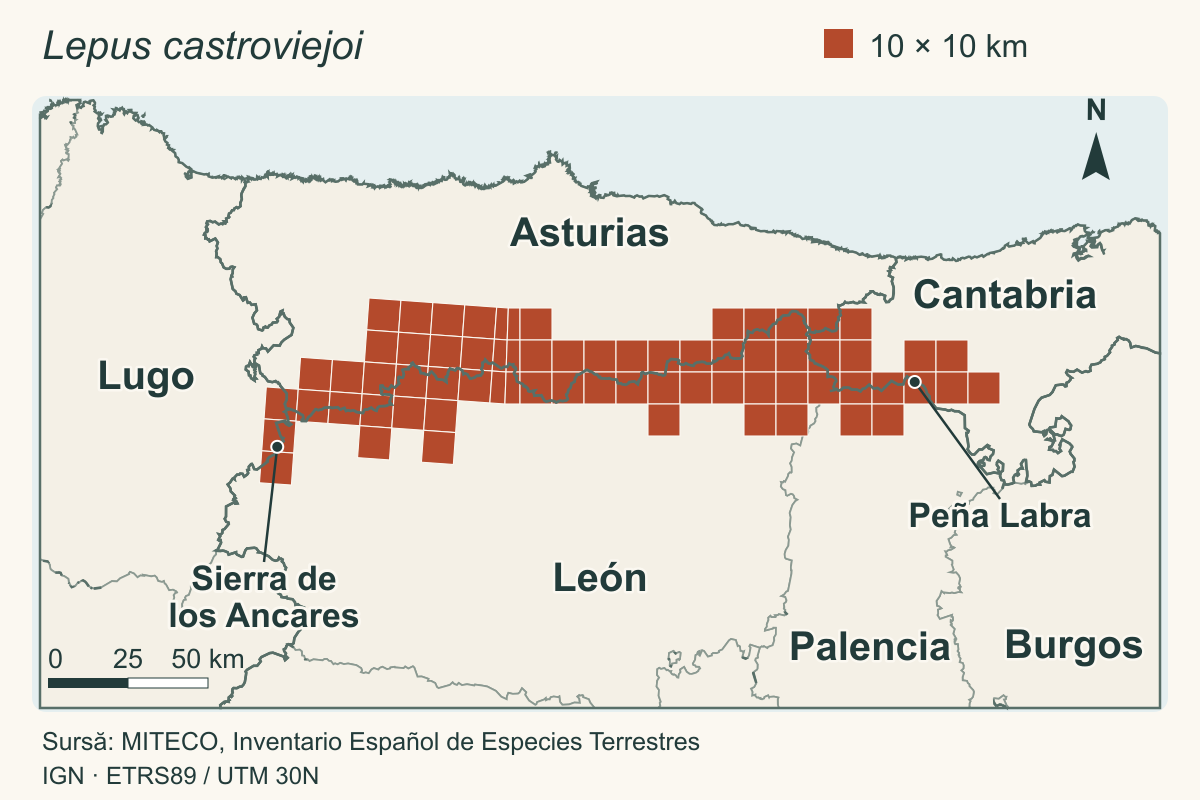 Harta nord-vestului Spaniei cu pătratele în care trăiește iepurele de piornal, din Sierra de los Ancares până la Peña Labra, între Asturias, Cantabria, León, Palencia și Lugo