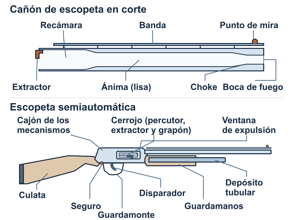 Esquema rotulado de un cañón de escopeta en corte y de una escopeta semiautomática: recámara, ánima, choke, cerrojo, seguro, disparador y guardamonte