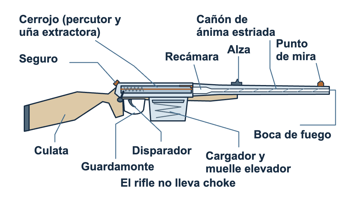 Esquema de un rifle de cerrojo con sus piezas rotuladas: culata, seguro, cerrojo con percutor y uña extractora, recámara, cañón de ánima estriada, alza, punto de mira, boca de fuego, cargador, disparador y guardamonte
