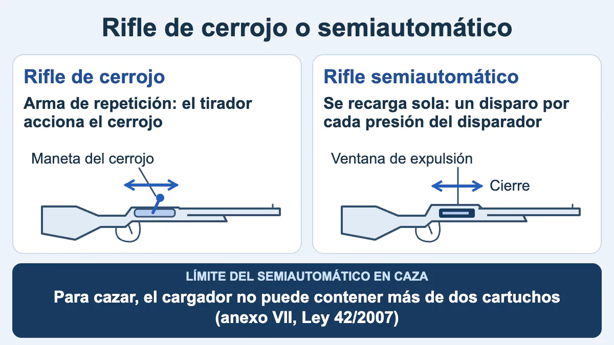 Rifle de cerrojo con la maneta que acciona el tirador frente a rifle semiautomático que se recarga solo, con el límite de dos cartuchos para cazar