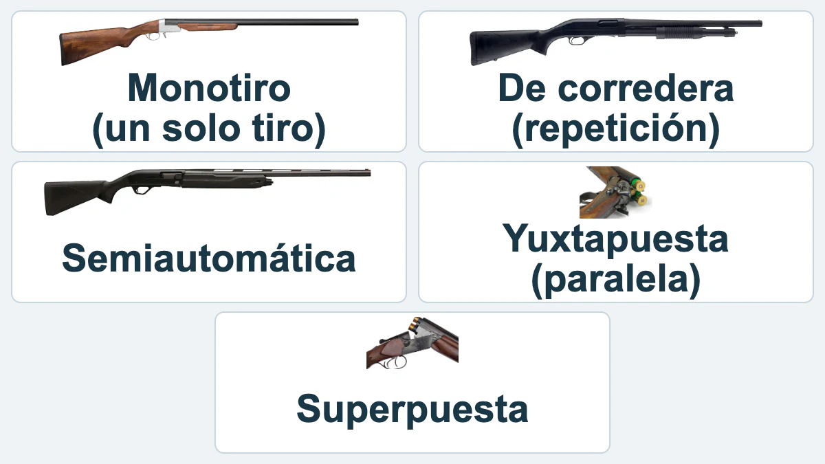 Cinco tipos de escopeta con su nombre: monotiro, de corredera, semiautomática, yuxtapuesta y superpuesta