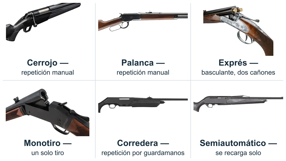 Seis tipos de rifle de caza con su sistema de recarga rotulado